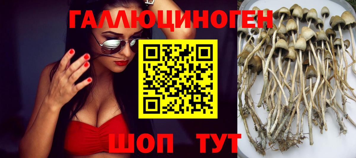 Псилоцибиновые грибы Magic Shrooms  Вход с VPN  Галлюциногенные грибы мицелий  Усинск 
